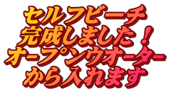 セルフビーチ 完成しました! オープンウオーター から入れます