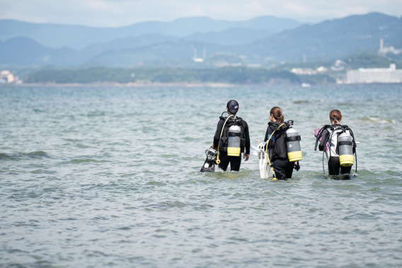 白浜の海とダイバーの後ろ姿